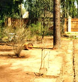 Вертикальная планировка территории - вариант 4