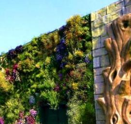 Вертикальное озеленение - вариант 2