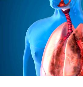 Визуализация лимфоузлов - тип 2