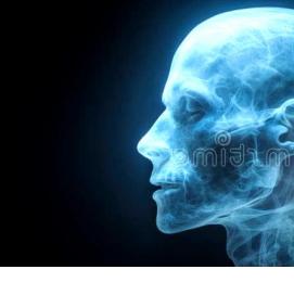 Визуализация позвоночника - вариант 1