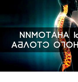 Визуализация позвоночника - вариант 2