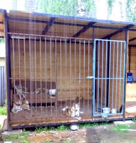 Вольеры для собак хозблоки - модель 2