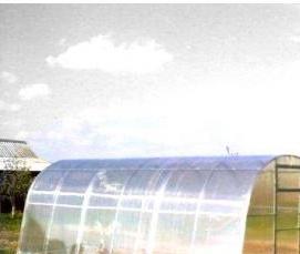 Волгоградские теплицы - вариант 4