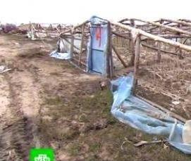 Волгоградские теплицы - вариант 2