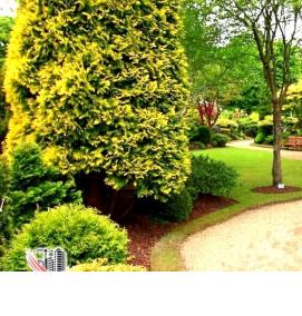 Временное благоустройство территории - тип 1