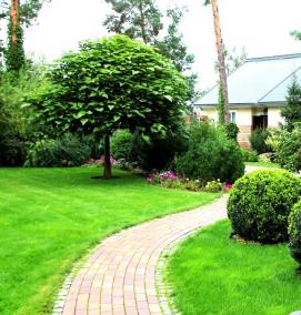 Временное благоустройство территории - тип 4