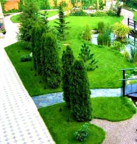 Временное благоустройство территории - тип 2