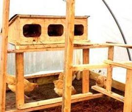 Высокая теплица - вариант 1