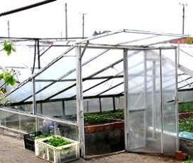 Высокая теплица - вариант 2