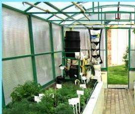 Высокие теплицы из поликарбоната - вариант 3