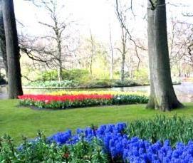 Высокие треугольные теплицы - тип 1