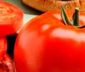 Высокоурожайные теплицы - вариант 3