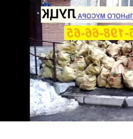 Вывоз мусора из квартиры с грузчиками - тип 1