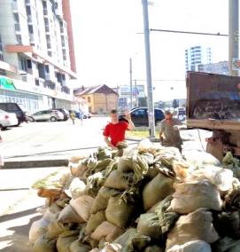 Вывоз растительного мусора с участка - тип 3