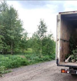 Вывоз растительного мусора с участка - тип 2