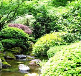 японский ландшафтный дизайн - модель 1