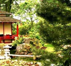 японский ландшафтный дизайн - модель 3