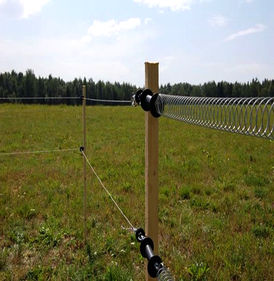 Для системы электропастух - вид 4