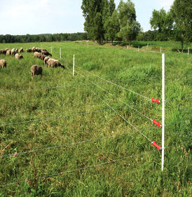 Для системы электропастух - вид 3