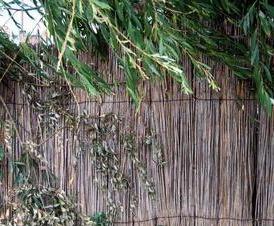 Из камыша - тип 2