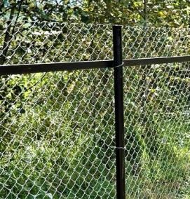 Забор из сетка рабица ЭКОНОМ