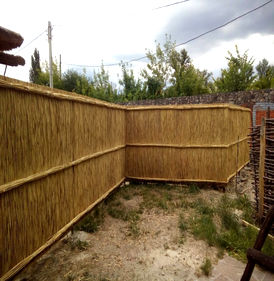 Из тростника - вид 2