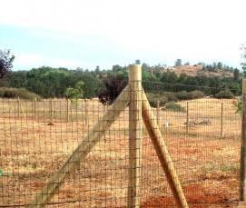 Заборные сваи - модель 4