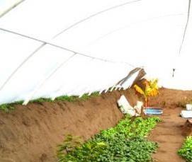 Заглубленные зимние теплицы - модель 1