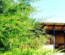 Загородные беседки с мангалом - модель 4