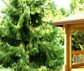 Закрытая беседка из клееного бруса - модель 1