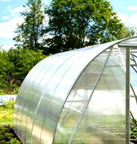 Зеленый поликарбонат для теплицы - вариант 4