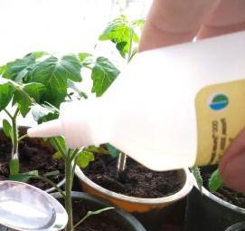 Земля для рассады томатов - тип 1