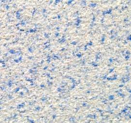 Жидкие обои хлопковые - вариант 1