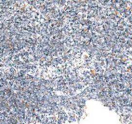 Жидкие обои хлопковые - вариант 3