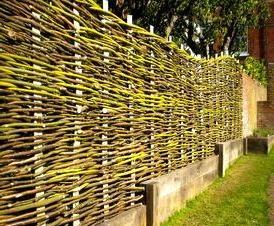 Живой  из ивы - тип 1