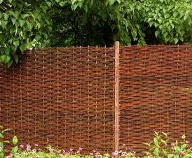 Живой  из ивы - тип 4