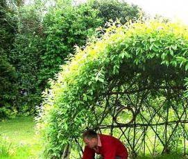 Живые беседки для дачи - вариант 2