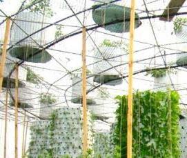 Жуковские теплицы - тип 1