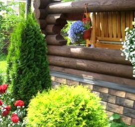 Зимостойкие саженцы - модель 4