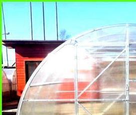 Золотая теплица - тип 1