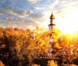 Золотая теплица - тип 4